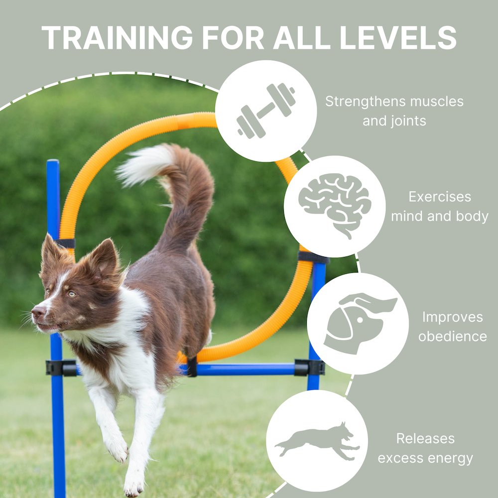 Dog Agility Jumping Ring Training  Set