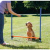 Dog Agility Hurdle, Obstacle Training