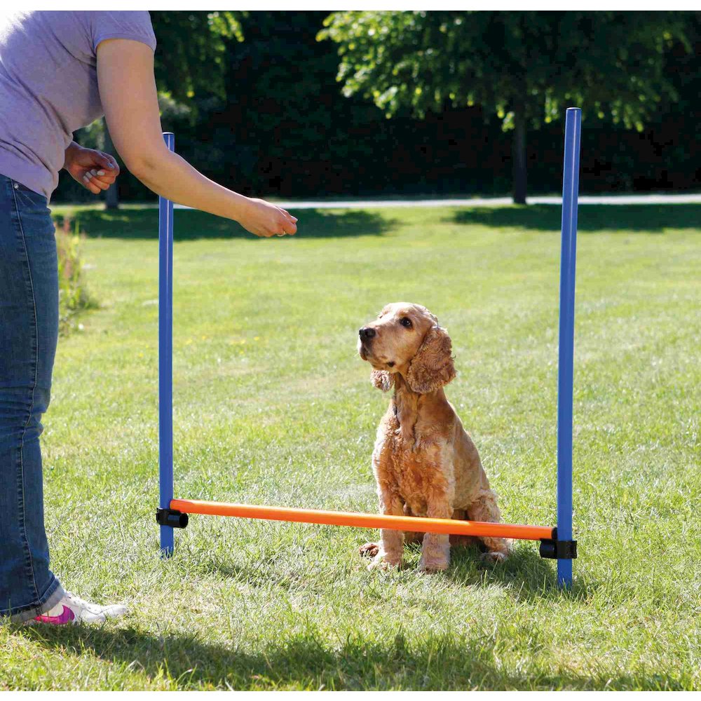 Dog Agility Hurdle, Obstacle Training