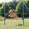 Dog Agility Hurdle, Obstacle Training