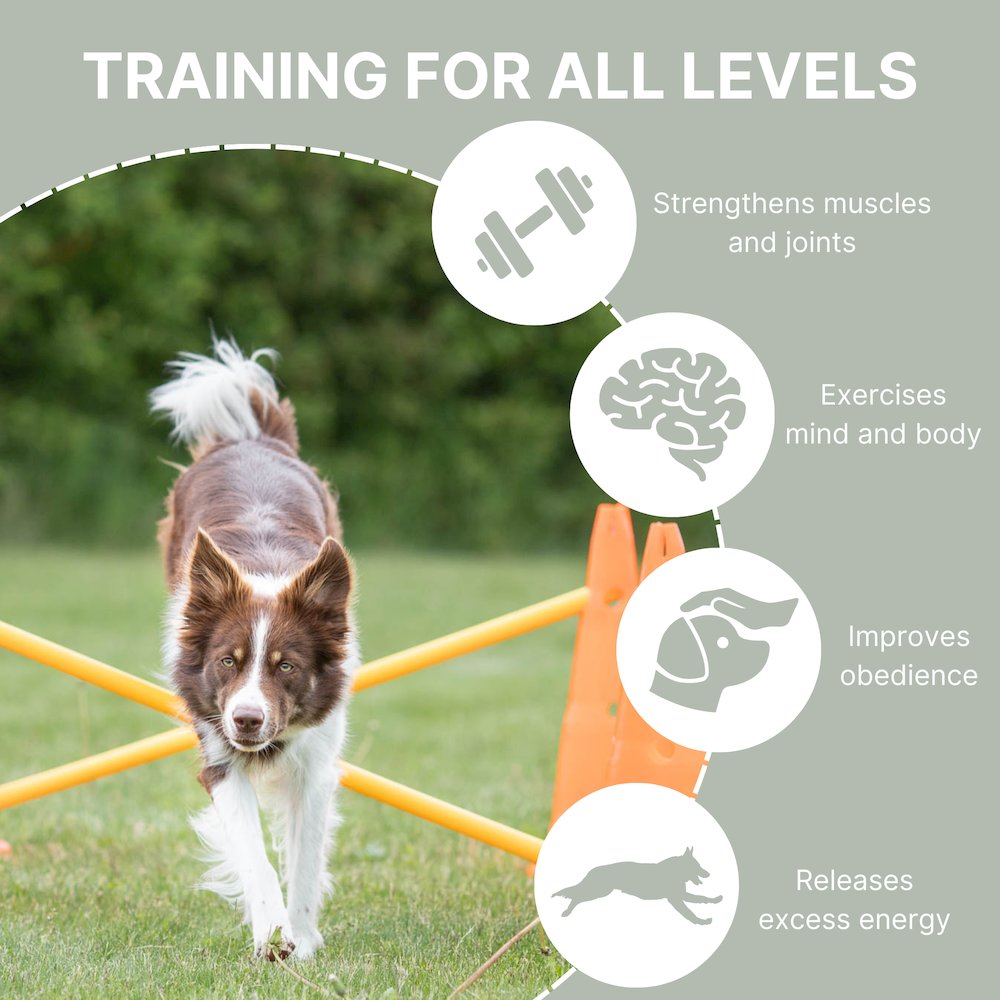 Dog Agility Hurdle Cone Set, Obstacle Training