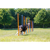 Dog Agility Slalom Set, 12 Piece Weaving Poles