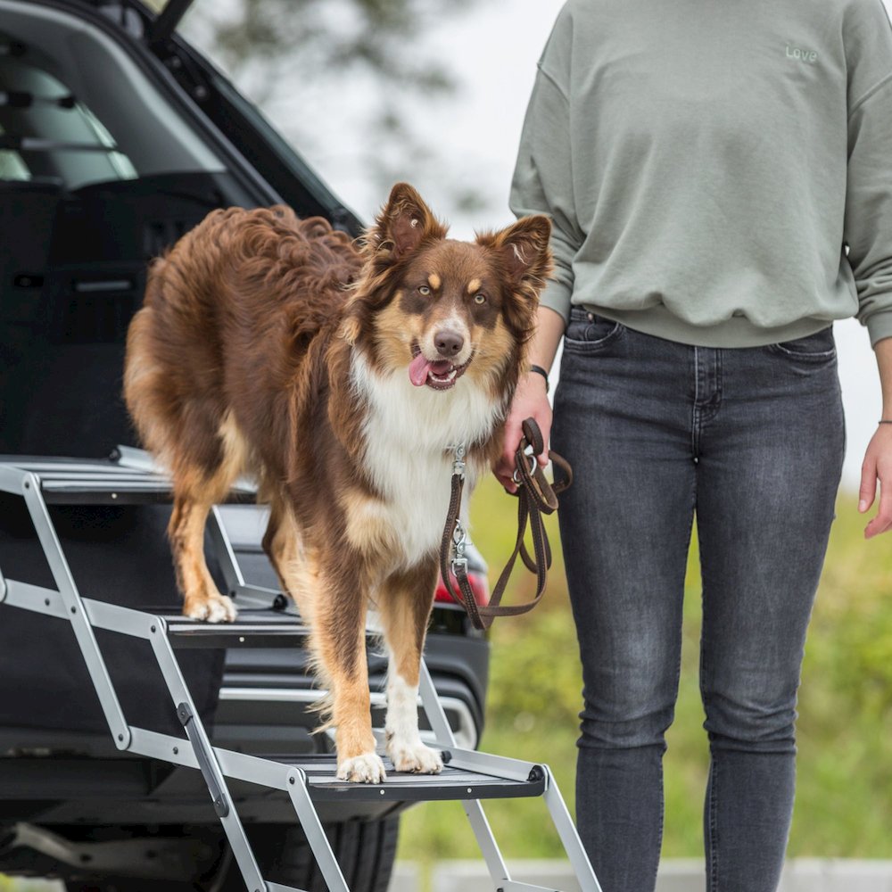 Heavy Duty Foldable 4 Step Pet Stairs, Lightweight Aluminum, Portable Pet Steps