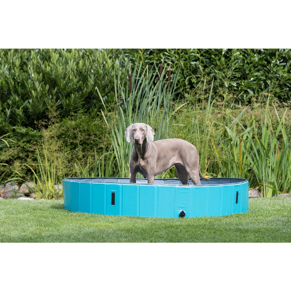 63" Outdoor Splash Pool for Dogs, Foldable Playpen, Bathtub, Blue, XX-Large