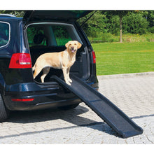 Foldable Non-Slip 62" Long Plastic Pet Ramp, Black, 200 lb Limit