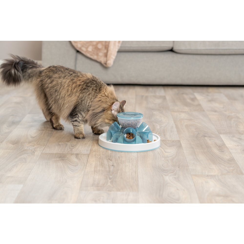Tunnel Slow Feeder for Cats, Interactive Cat Toy, Pet Food Dispenser, Blue