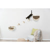 Eden Wall Mount Cat Tree Set, 2 Condos with 3 Steps, Cat Furniture
