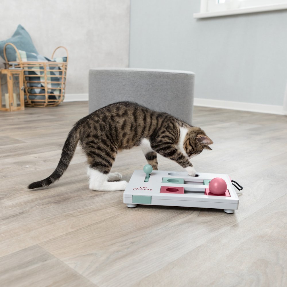 Brain Mover Strategy Game for Cats, Cat Puzzle Toy, Interactive Play