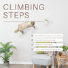 XXL Multi-Level Wall Mounted Cat Perch-Step, 3 Piece Set, Gray-White
