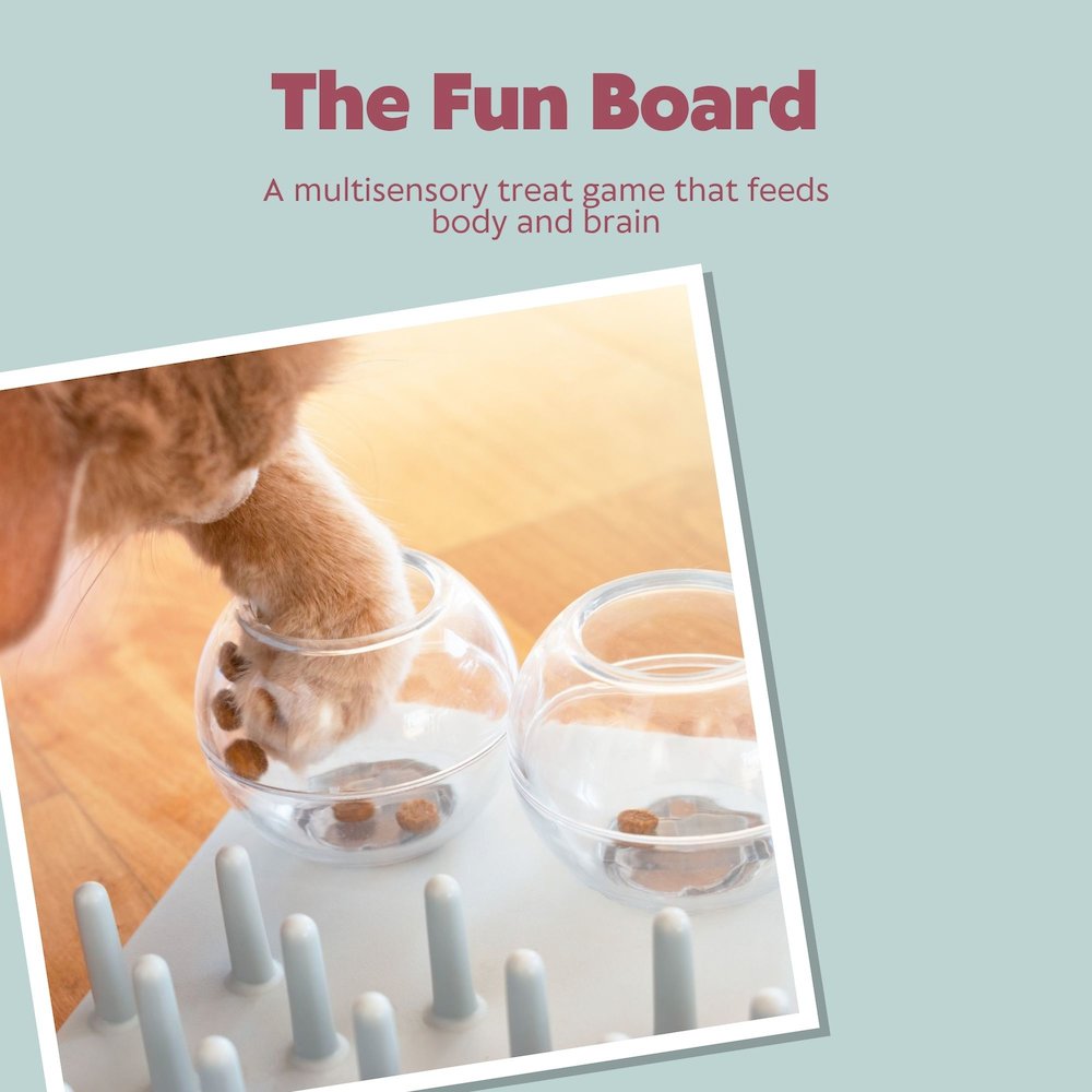 Fun Board Strategy Game for Cats, Puzzle Toy, Treat Dispenser, Interactive Play