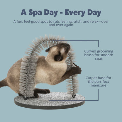 Cat Massager and Self Grooming Arch, Bristle Ring Brush, Carpet Scratcher, Gray