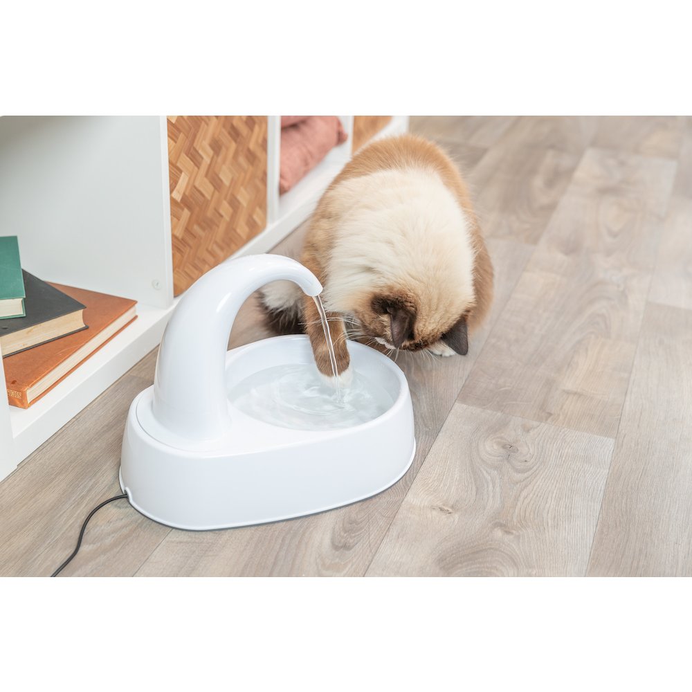 Curved Stream 84.5oz Drinking Fountain for Cats and Dogs