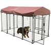 Deluxe Outdoor Dog Kennel, XXL