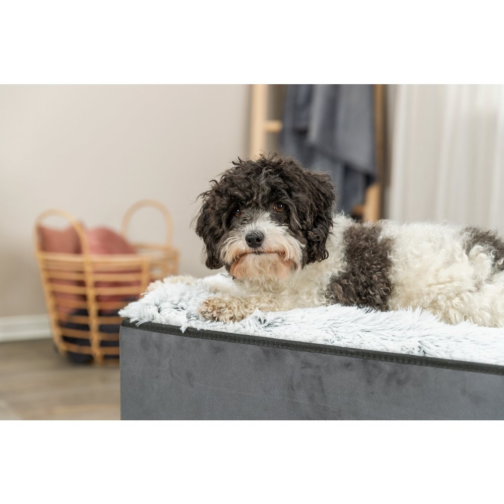 Harvey Velvety Indoor Condo, Foldable Hideaway, for Cats and Small Dogs, Gray