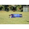 Dog Agility Tunnel 6.5', Portable Dog Training Tunnel, Obedience