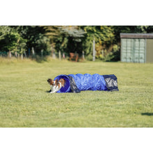 Dog Agility Tunnel 6.5', Portable Dog Training Tunnel, Obedience