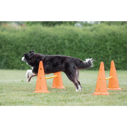 Dog Agility Hurdle Cone Set, Obstacle Training