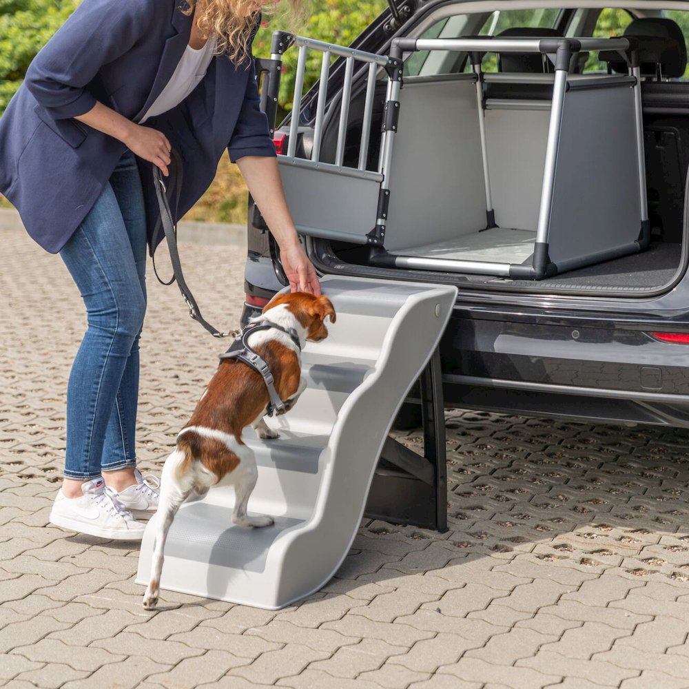 4-Step Pet Stairs, Lightweight and Collapsible Steps Ideal for Dogs & Cats, Gray