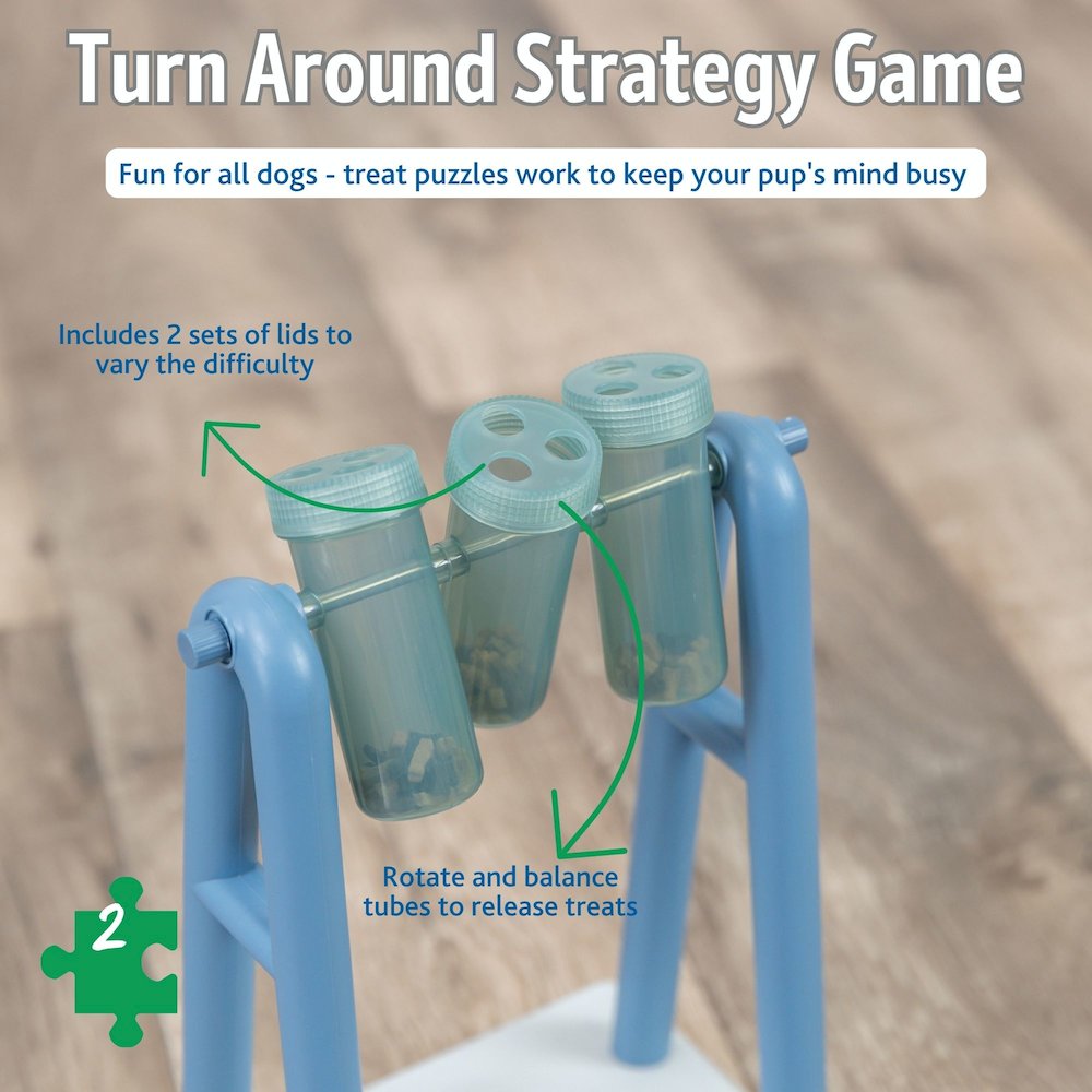 Mad Scientist Turn Around Strategy Game, Level 2 Dog Puzzle Toy, Dog Activity