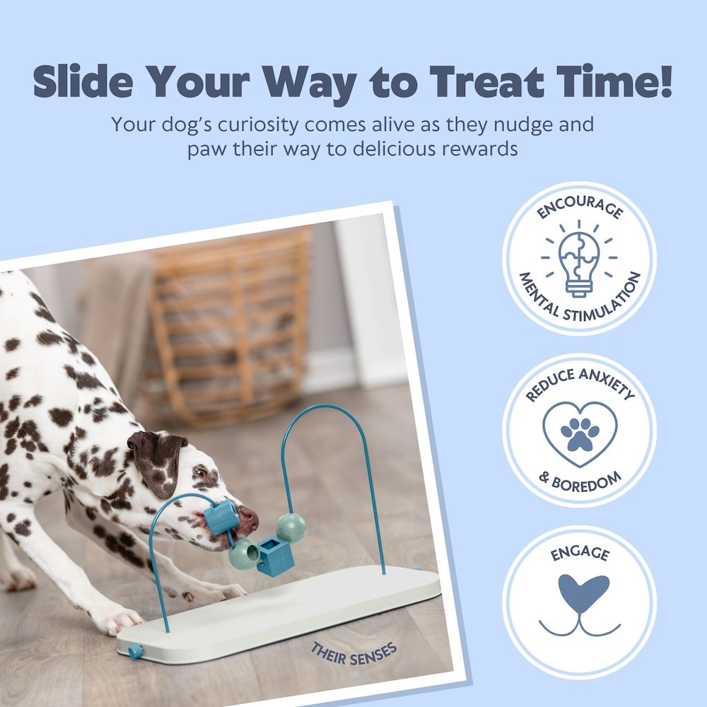 Dog Activity Skills Loop Strategy Game, Level 4 Advanced Food Puzzle