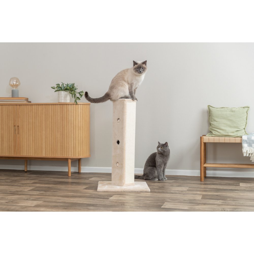 Soria Plush & Sisal 31.5" Square Scratching Posts, Cat Toys for Hunting, Beige