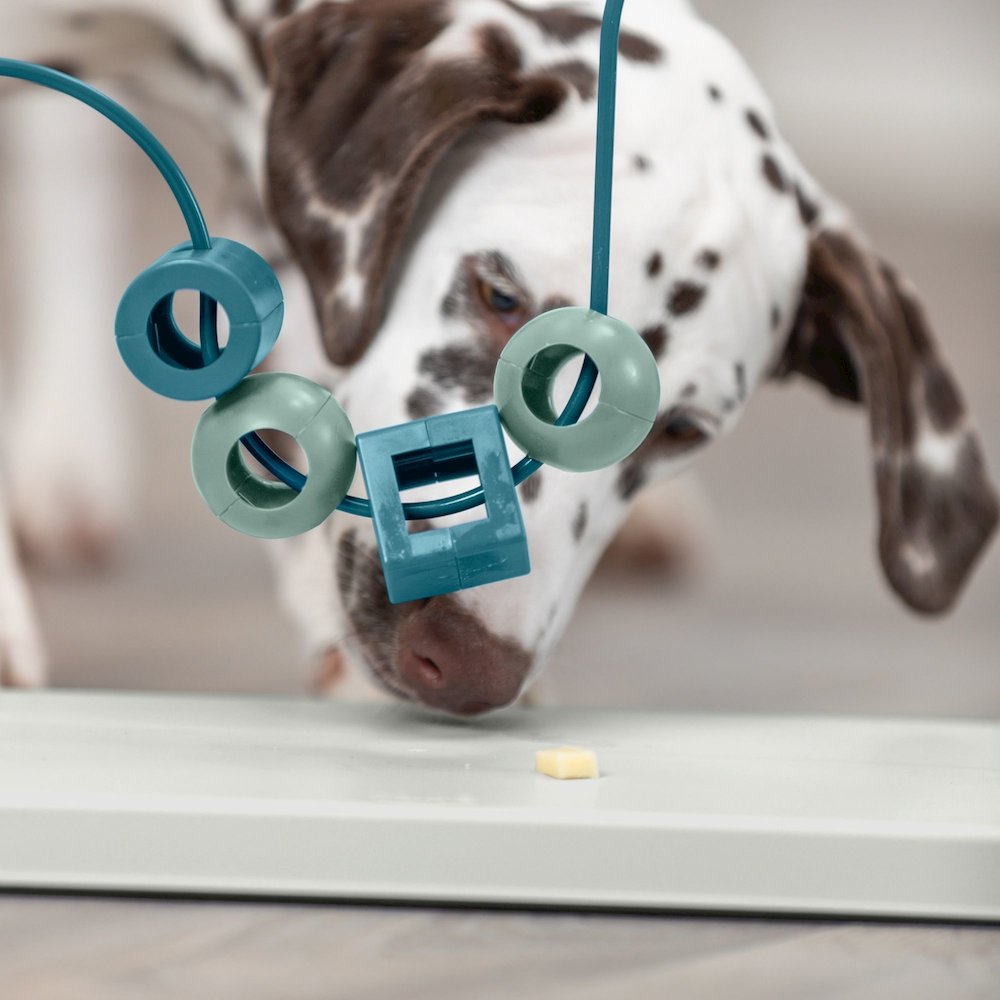 Dog Activity Skills Loop Strategy Game, Level 4 Advanced Food Puzzle