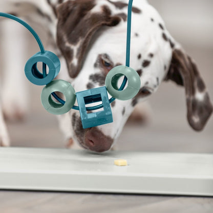 Dog Activity Skills Loop Strategy Game, Level 4 Advanced Food Puzzle
