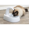 Curved Stream 84.5oz Drinking Fountain for Cats and Dogs