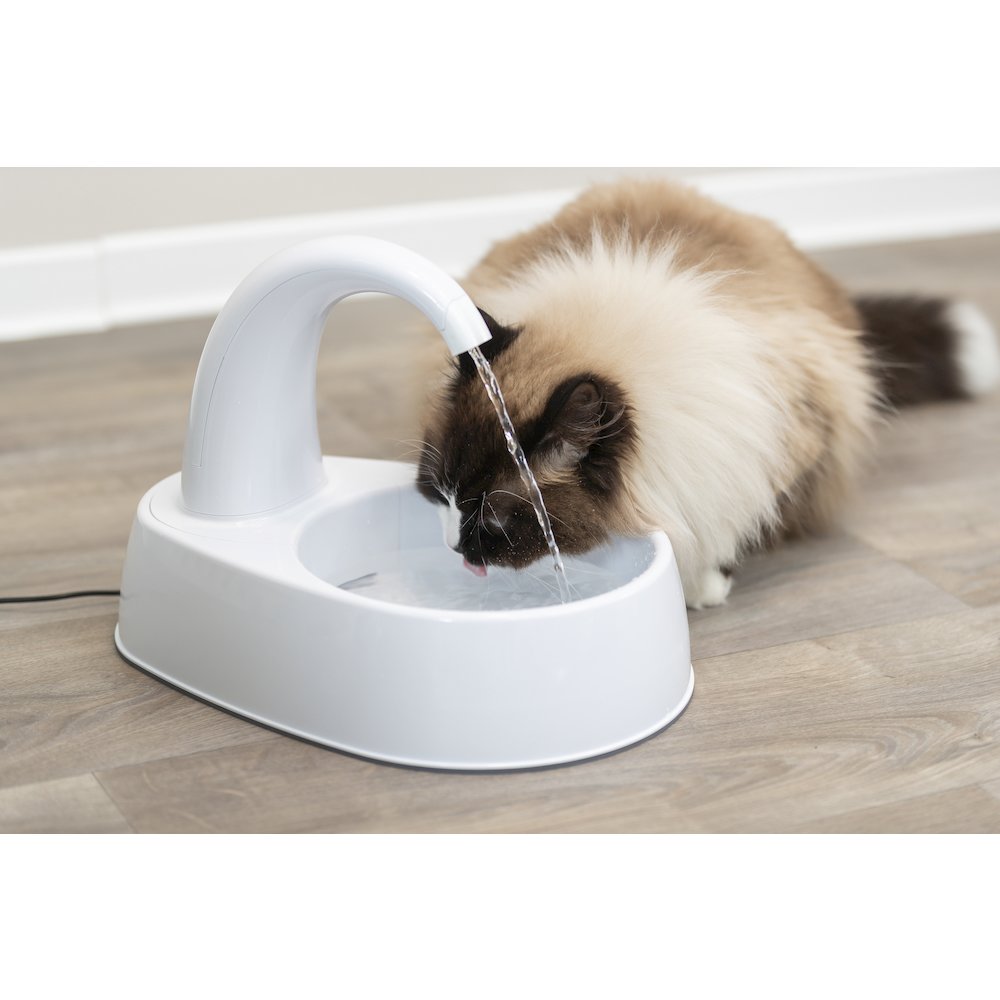 Curved Stream 84.5oz Drinking Fountain for Cats and Dogs