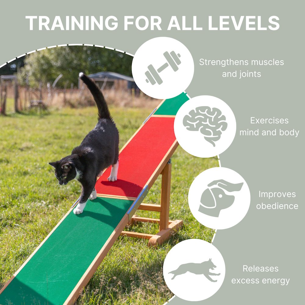 Dog Agility Seesaw, Obstacle Training