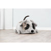 Lukas Plush Indoor Cat Condo with Sisal Scratching Surface & Removable Cushion