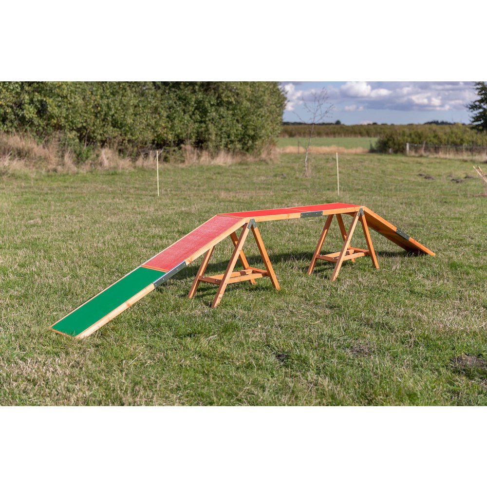 Dog Agility Dogwalk, Obstacle Training