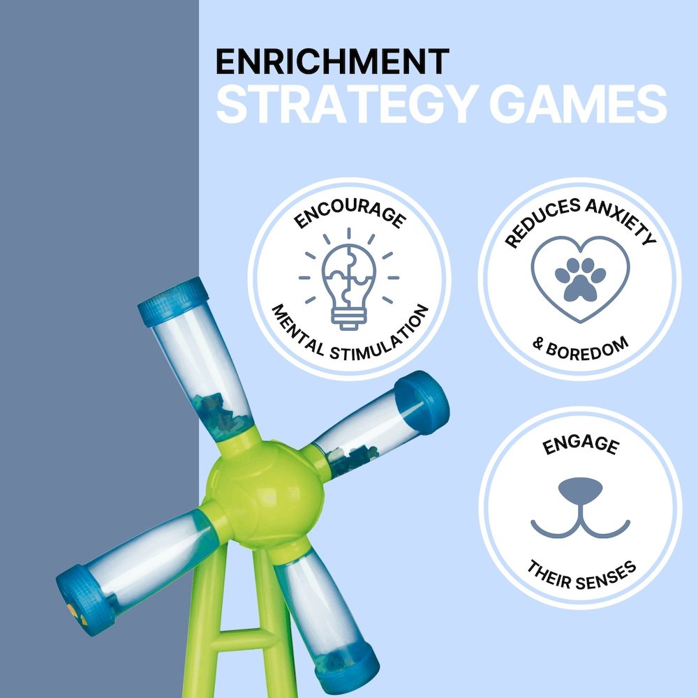 Dog Activity Windmill Strategy Game, Level 1, Beginner Dog Puzzle Toy
