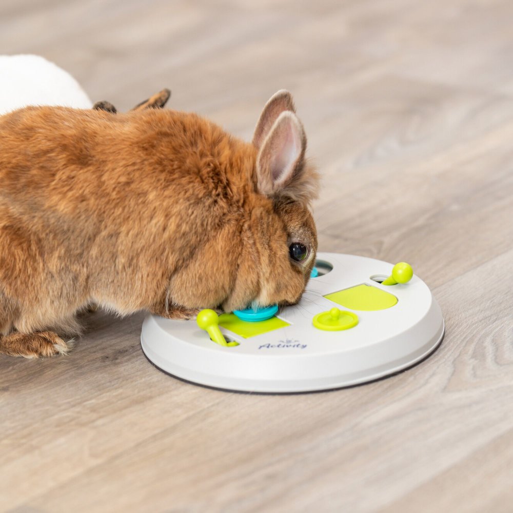 Rabbit Flip Board Strategy Game