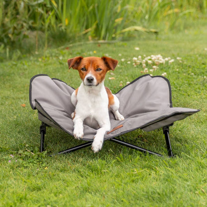 Elevated Camping Cot, Folding Dog Bed, Raised Travel Lounger for Small Dogs