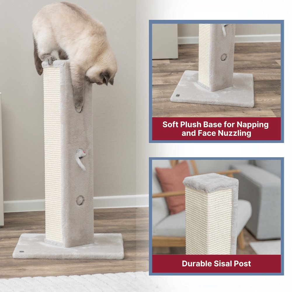 Soria Plush & Sisal 31.5" Square Scratching Posts, Cat Toys for Hunting, Greige
