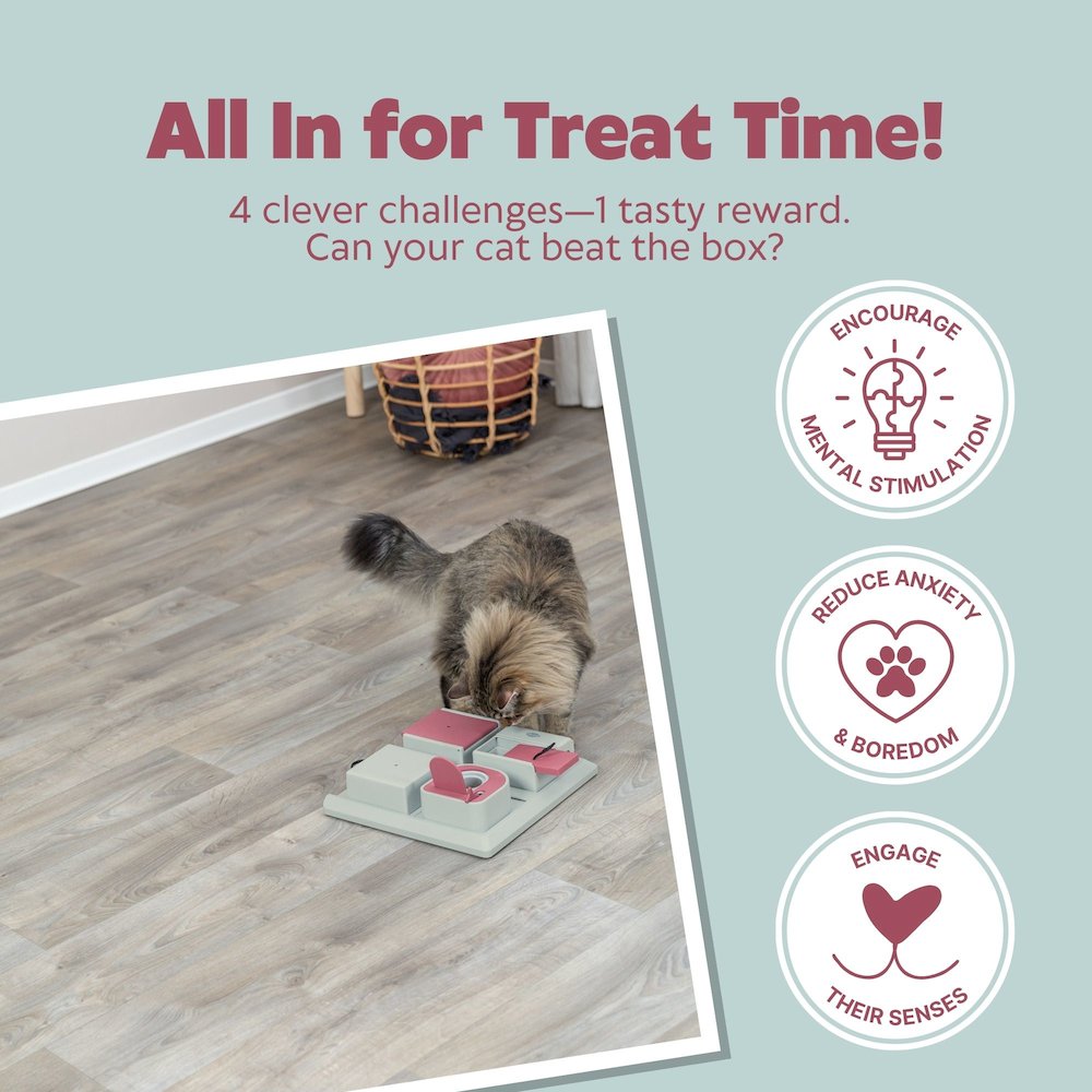 Poker Box Strategy Game for Cats, Puzzle Toy, Treat Dispenser, Interactive Play