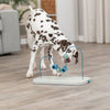 Dog Activity Skills Loop Strategy Game, Level 4 Advanced Food Puzzle