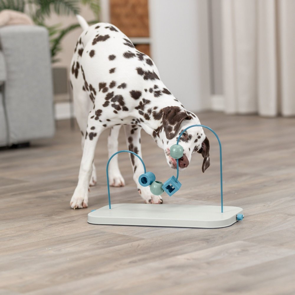 Dog Activity Skills Loop Strategy Game, Level 4 Advanced Food Puzzle