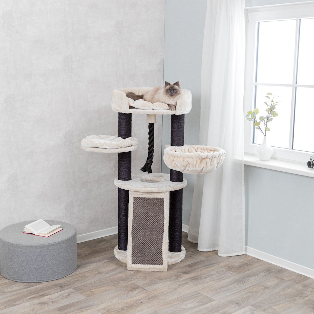 Bovina Plush & Sisal 3-Level 55.5" Cat Tree, Scratching Posts & Hammock, Black