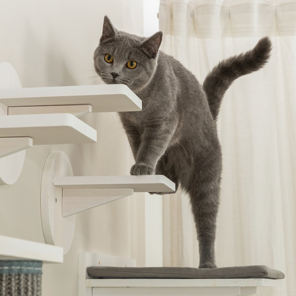 Wall Set 6 Wall Mounted Cat Perch System, Scratching Posts, Platforms, Steps