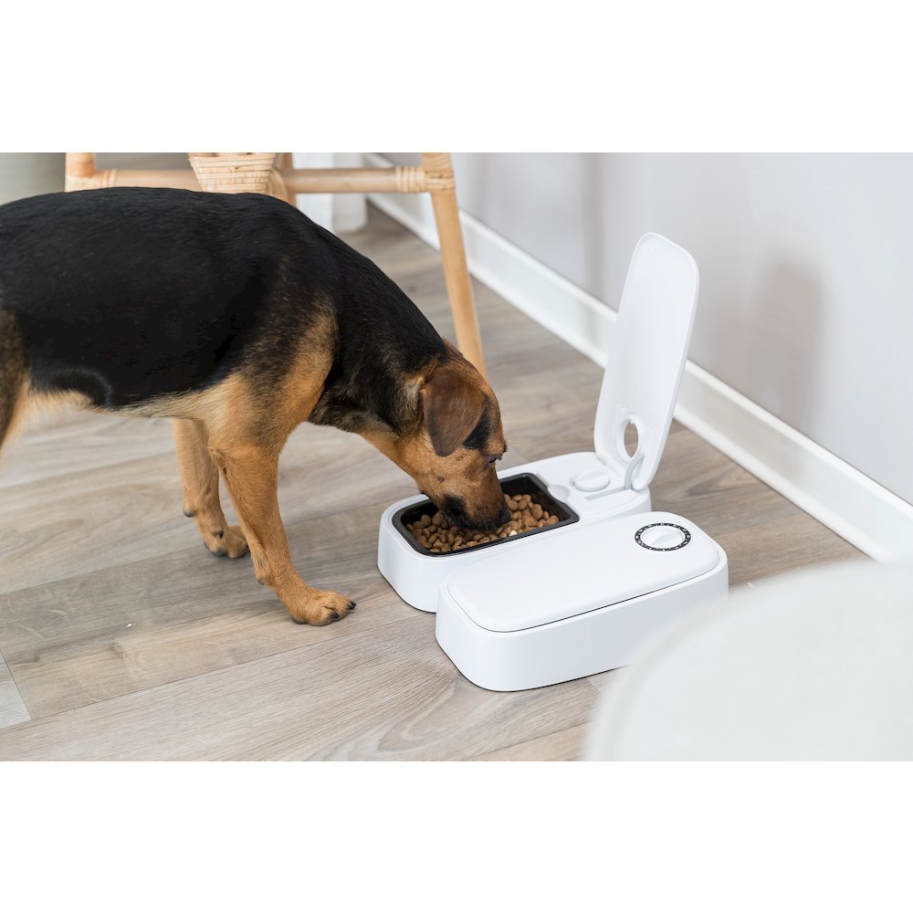 TX2 Automatic Food Dispenser, Two Timers and Bowls, 48 Hr Timer
