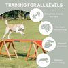 Dog Agility Dogwalk, Obstacle Training