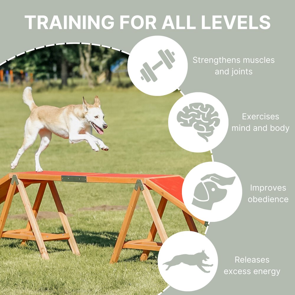 Dog Agility Dogwalk, Obstacle Training