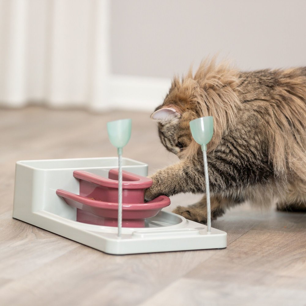 Fantasy Board Strategy Game for Cats, Puzzle Toy, Treat Dispenser