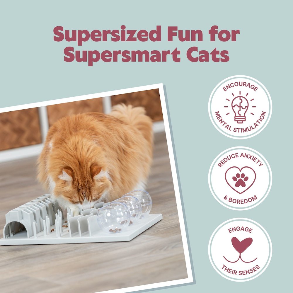 Fun Board XXL Strategy Game for Cats, Treat Puzzle Toy, Interactive Play, White