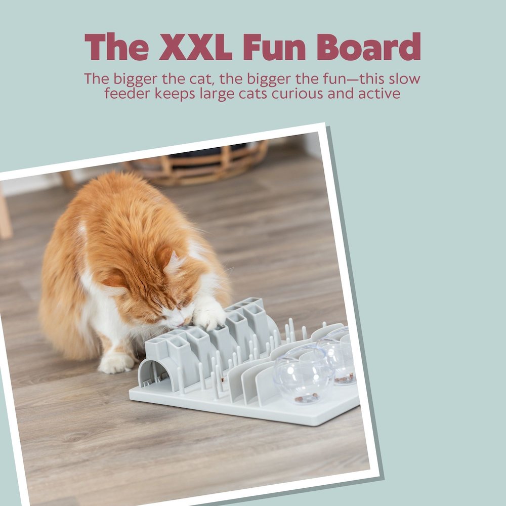 Fun Board XXL Strategy Game for Cats, Treat Puzzle Toy, Interactive Play, White
