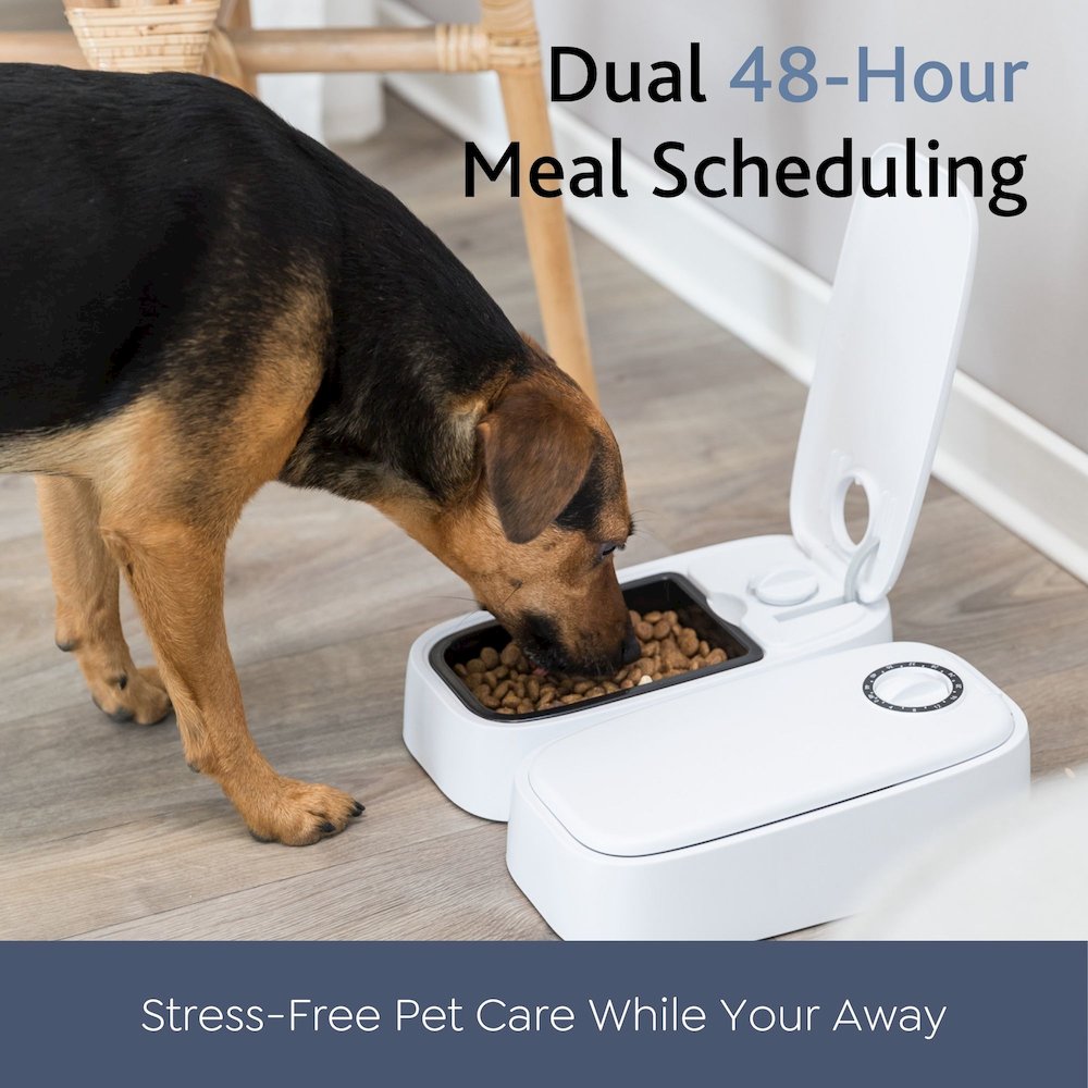 TX2 Automatic Food Dispenser, Two Timers and Bowls, 48 Hr Timer