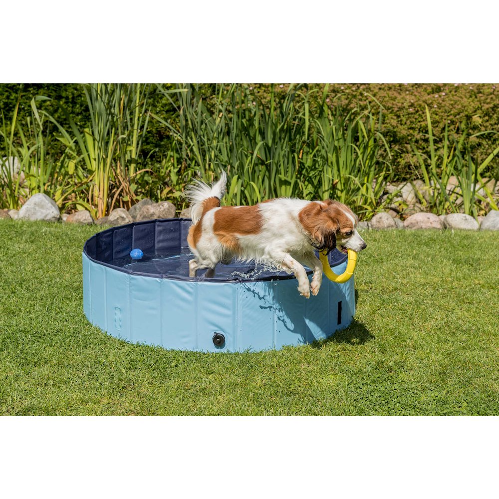 31.5" Outdoor Splash Pool for Dogs, Foldable Playpen, Bathtub, Blue, Medium