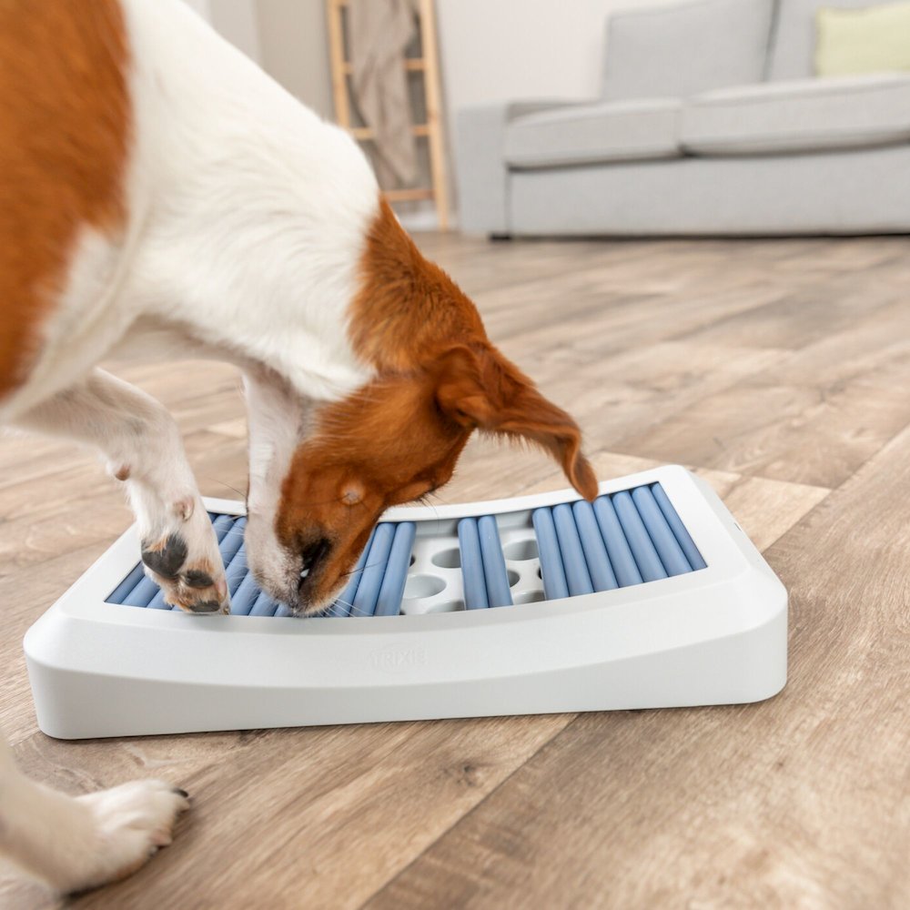 Dog Activity Rod Board Strategy Game, Level 1 Dog Puzzle Toy, Dog Treat Toy